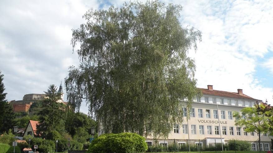 v1_migrated_image_54399996