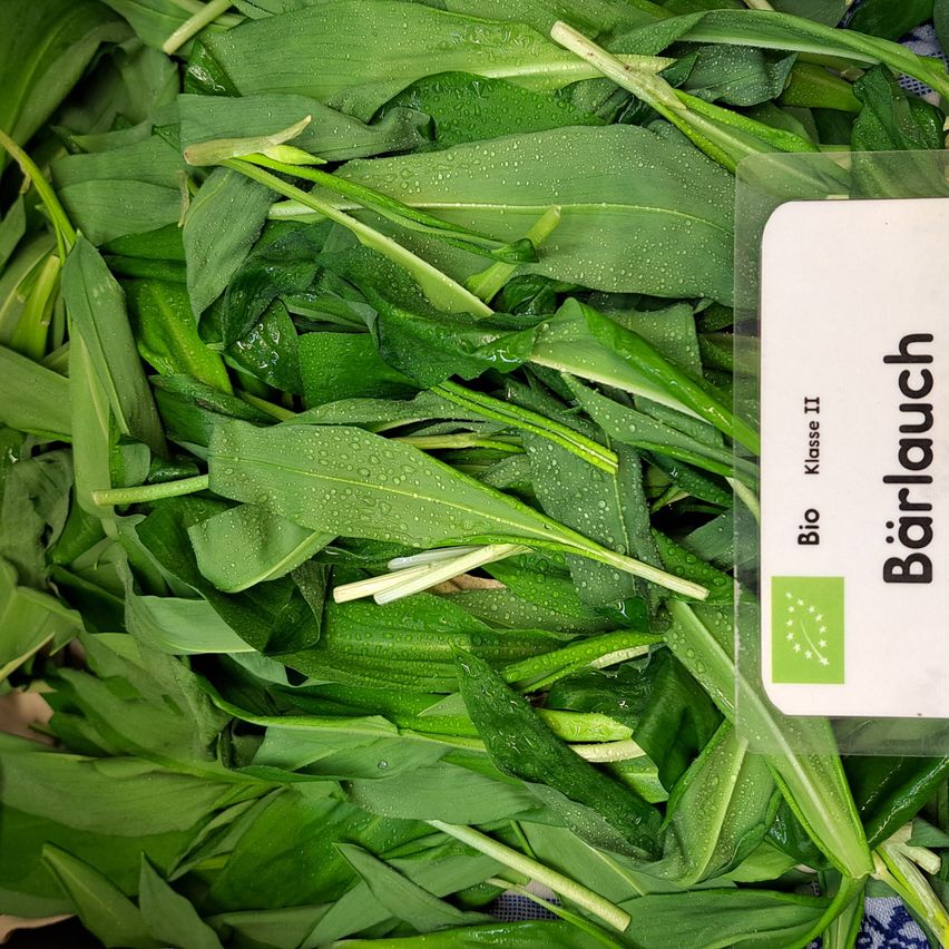 Ein Haufen frischer, grüner Bärlauchblätter mit Wassertropfen darauf. Die Blätter sind zusammengebunden mit einem weißen Etikett, das Bärlauch steht.