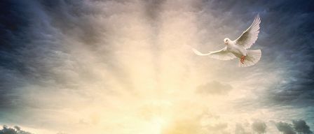 Eine weiße Taube mit ausgebreiteten Flügeln fliegt in einem stürmischen Himmel, während Lichtstrahlen von unten herauf scheinen.
