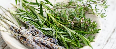 Eine weiße Schüssel mit frischen Kräutern, darunter Rosmarin, Lavendel und Thymian, auf einer Holzoberfläche.