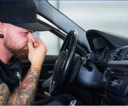 Bild enthält, Head, Person, Face, Adult, Male, Man, Driving, Transportation, Vehicle, Car