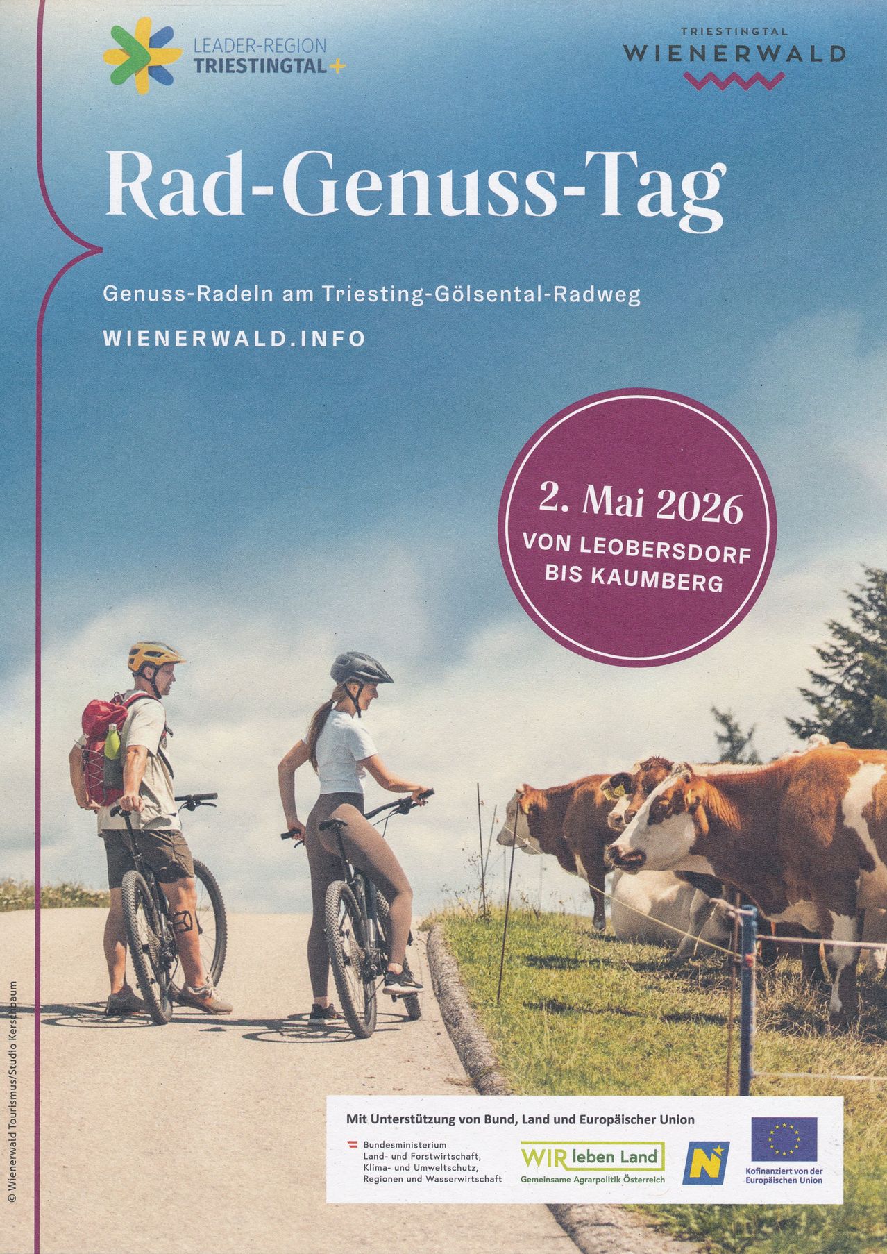 Plakat für eine Fahrradveranstaltung. Zwei Radfahrer stehen mit ihren Fahrrädern, einer mit einem Rucksack. Sie sind von Kühen auf einer Grasfläche umgeben. Datum: 2. Mai 2026.