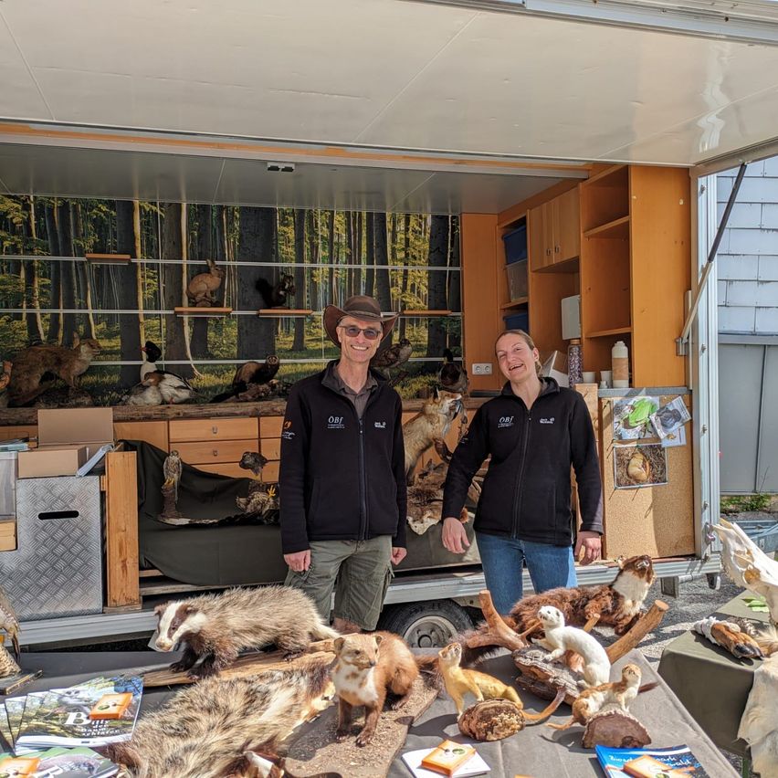 Zwei Männer stehen in einem mobilen Laden mit ausgestopften Tieren zur Schau. Sie tragen passende Jacken mit Logos auf dem Rücken. Verschiedene Tiere, darunter Dachse, sind auf einem Tisch arrangiert.