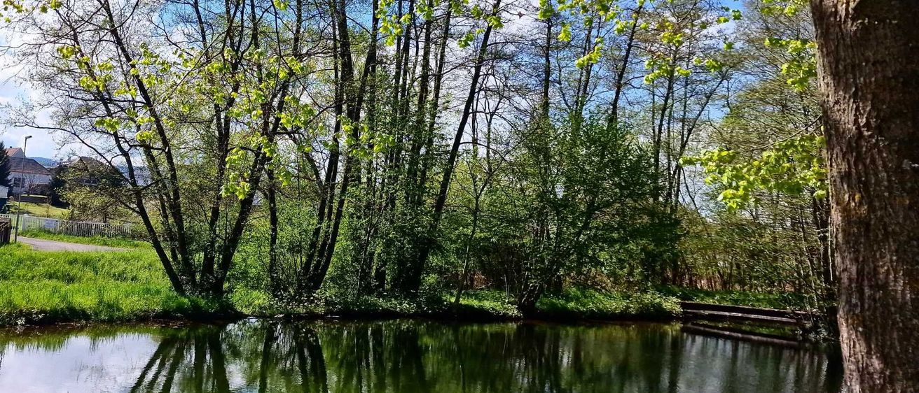 v1_migrated_image_77793869