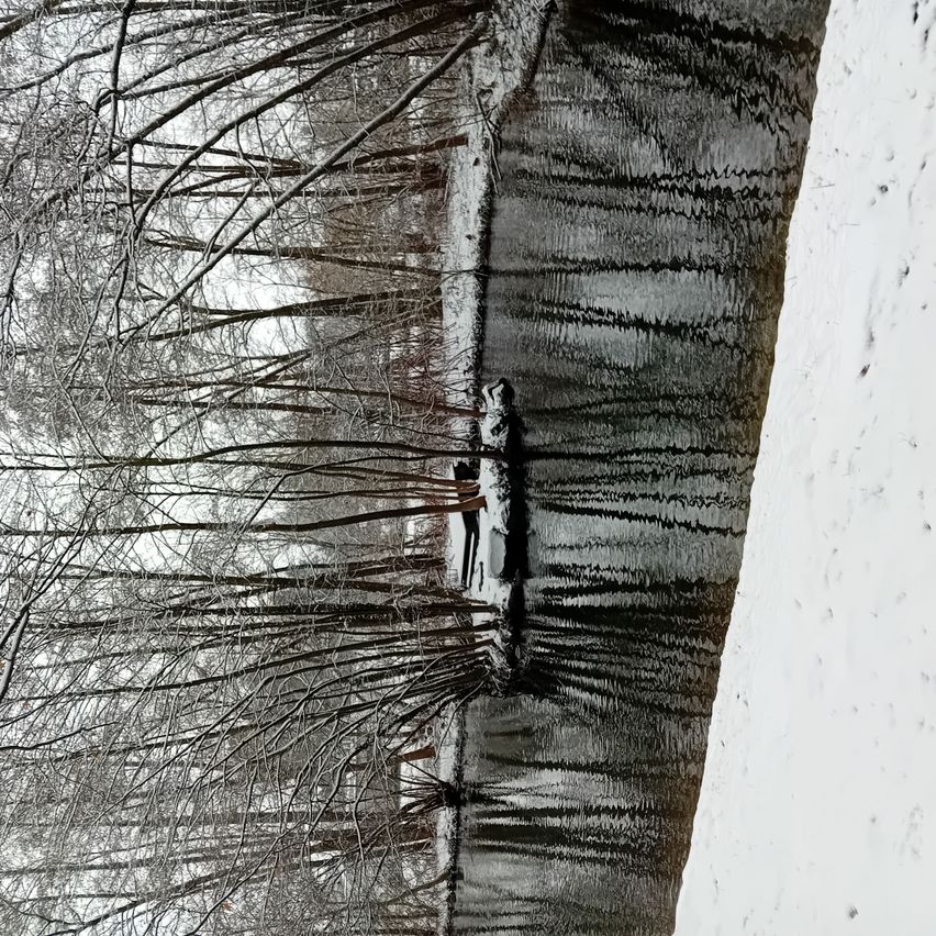 Eine Winterlandschaft zeigt ein Gewässer mit Bäumen, die auf einer Seite von Schnee bedeckt sind, und Schnee auf der anderen Seite. Eine Person steht in der Nähe des Wassers.