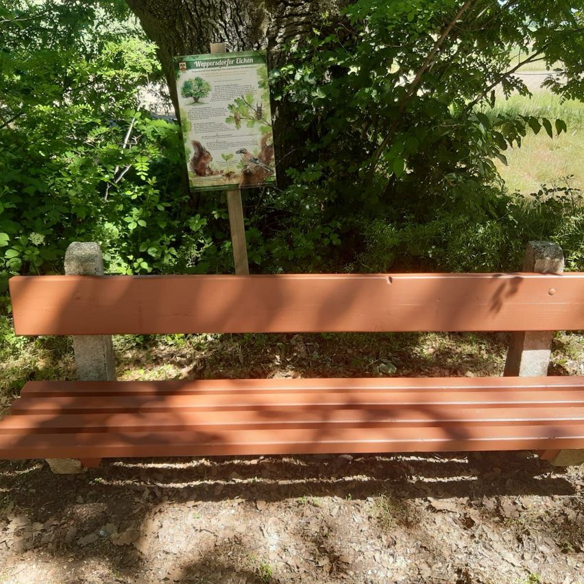 Eine Holzbank in einem Park mit einem Schild mit einer Illustration eines Eichhörnchens und eines Vogels. Hinter der Bank stehen einige Bäume und Pflanzen.