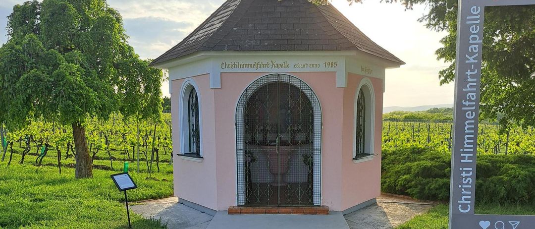 A small pink chapel with a black roof, named Christ Himmelfahrt-Kapelle, is surrounded by green grass and vineyards.
