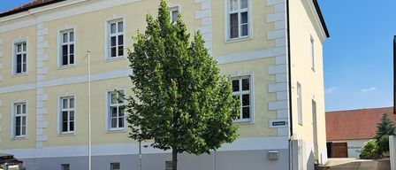 A beige building with many windows and a brown roof is located on a street. A tree stands in front of the building.