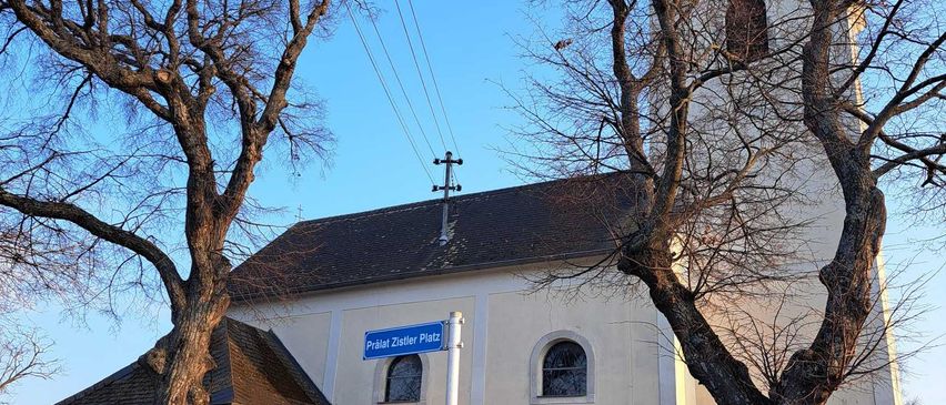 Bild enthält, Spire, Arch, Gothic Arch, Bell Tower, Monastery, Tree, Grass, Utility Pole, Clock Tower, Tree Trunk