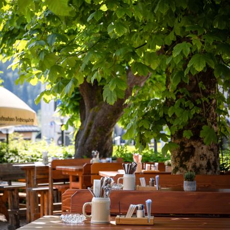 Ein Gasthof im Freien mit Holztischen und Bänken unter einem großen Baum. Die Tische sind mit Besteck und einem Topf bepflanzt.