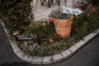 Ein Gartenbeet mit rosa Blumen, einem Terrakottatopf mit einer Pflanze und zwei Holzschildern, eines sagt 'Hier entlang' und das andere 'Hochzeit', auf einem gepflasterten Weg.