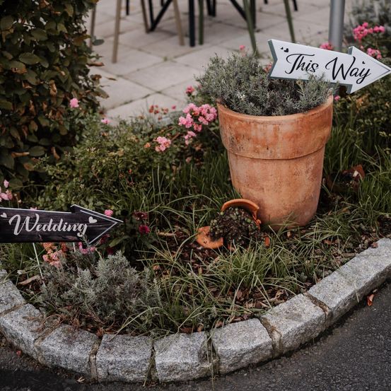 Eine Gartenszene mit zwei Schildern: 'Hochzeit' und 'Hierher'. Ein Topf mit Pflanzen steht in der Mitte, umgeben von Blumen. Ein Weg und eine Terrasse sind im Hintergrund zu sehen.