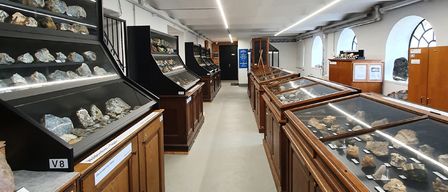 Ein langer Raum mit Reihen von Vitrinen auf beiden Seiten, die verschiedene Steine präsentieren. Jede Vitrine ist mit einer Nummer beschriftet und hat ein weißes Etikett. Die Decke hat Lichter und es gibt bogenförmige Fenster auf der rechten Seite.