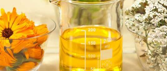 Bild enthält, Cup, Jar, Flower, Plant, Cooking Oil, Food