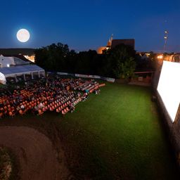 Mondscheinkino_Vollmond_Wiese_Besucher_Kirche_21RichardStger