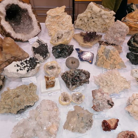 Brse_Mineralien_Fossilien_Stadthalle_2021_groBrinnichMichaela