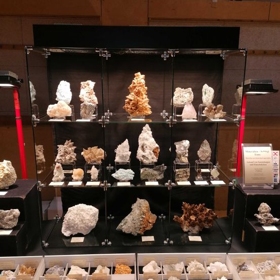 Brse_Mineralien_Vitrine_2021BrinnichMichaela