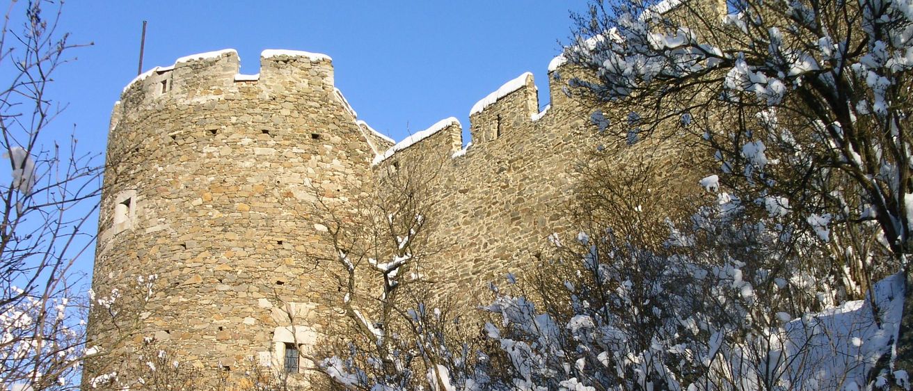 Eine steinerne Turmburg mit Schnee auf dem Dach, umgeben von kahlen, verschneiten Sträuchern unter einem klaren blauen Himmel.