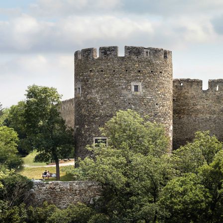 Kanzlerturm_Stadtmauer_Sommer-Martin