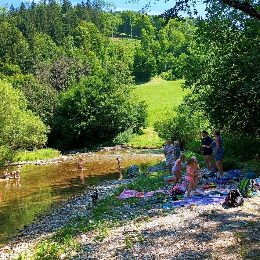 Eine Gruppe von Menschen genießt einen sonnigen Tag am Fluss, einige schwimmen und andere entspannen sich am Ufer.