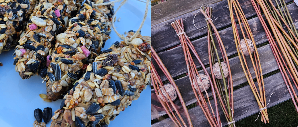 Eine Anzeige für eine Vogelfutterspender-Veranstaltung am 15. November 2025 von 10 bis 12 Uhr. Es zeigt Bilder von selbstgemachten Vogelfutterspendern an Stöcken.