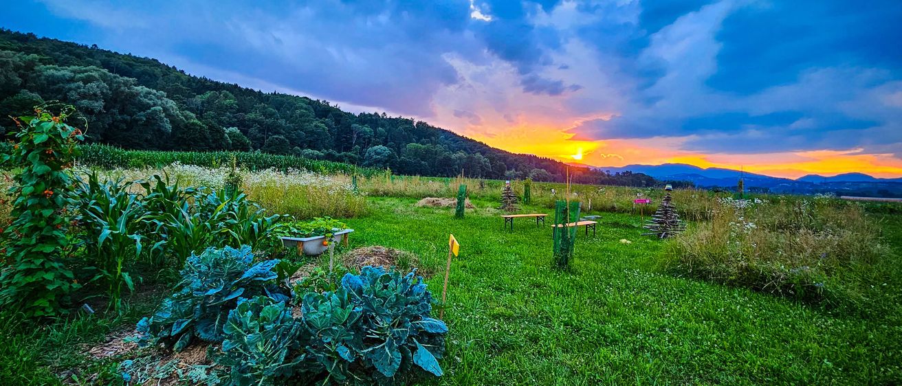Bild enthält, Grass, Nature, Outdoors, Sky, Field, Grassland, Scenery, Landscape, Sunset, Meadow