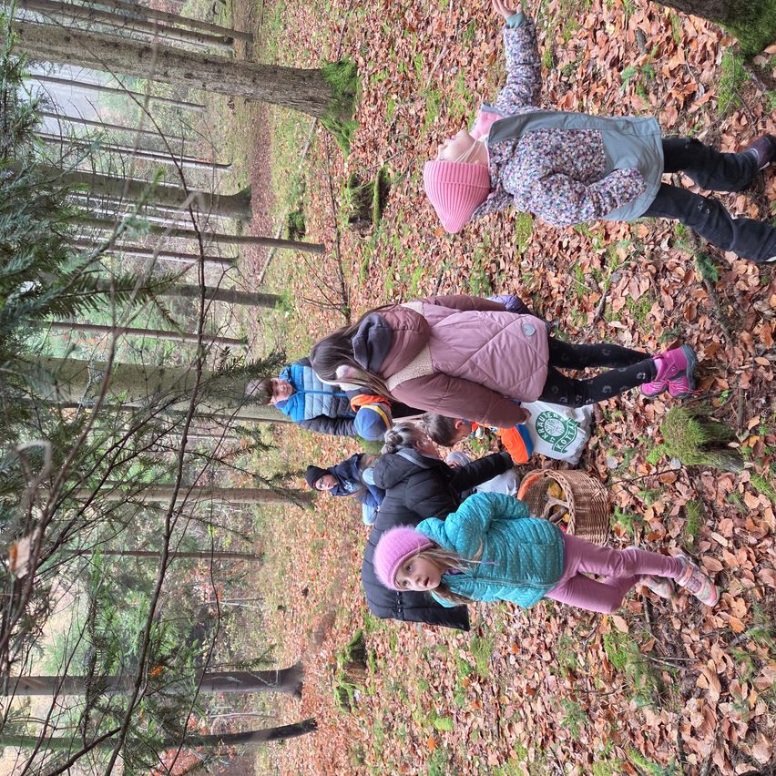 Eine Gruppe von Kindern in Winterkleidung sammelt Blätter in einem Wald. Ein Kind sitzt auf dem Boden, während andere stehen.