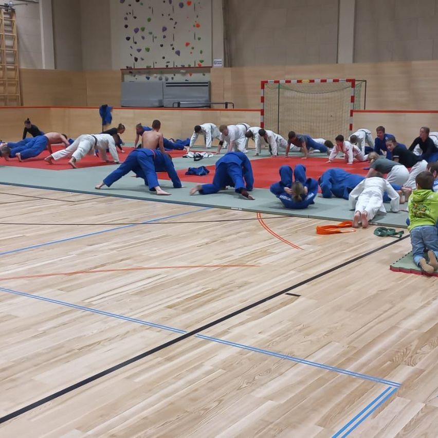 Bild enthält, Basketball, Basketball Game, Sport, Person, Adult, Male, Man, Accessories, Bag, Handbag