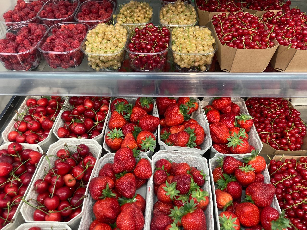Eine Ausstellung verschiedener frischer Beeren. Erdbeeren, Himbeeren, Kirschen und weiße Johannisbeeren sind ordentlich in Plastikbehältern und Kisten angeordnet.