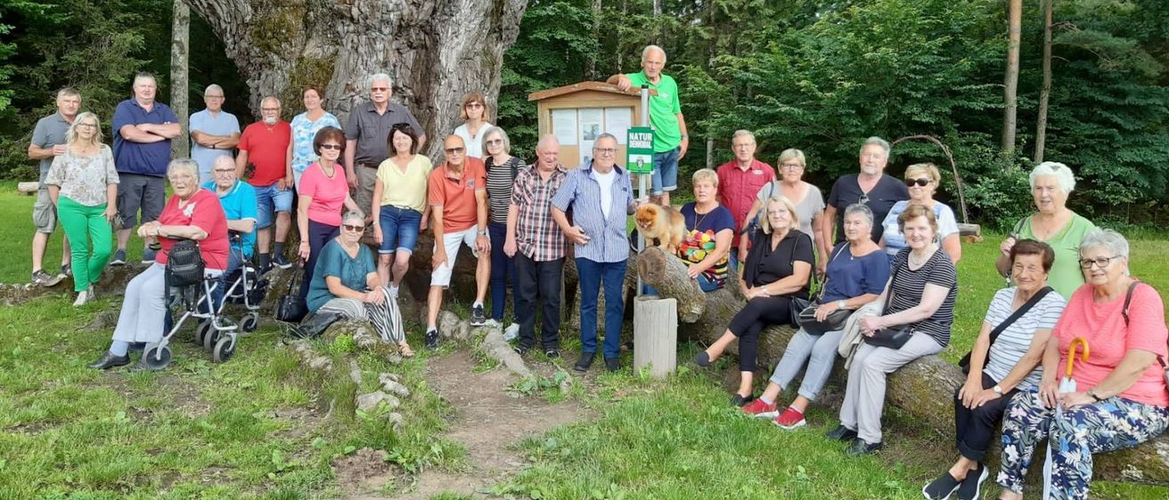 v1_migrated_image_47216433