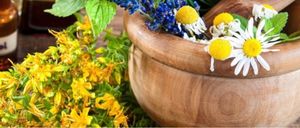 Bild enthält, Herbal, Herbs, Plant, Daisy, Flower