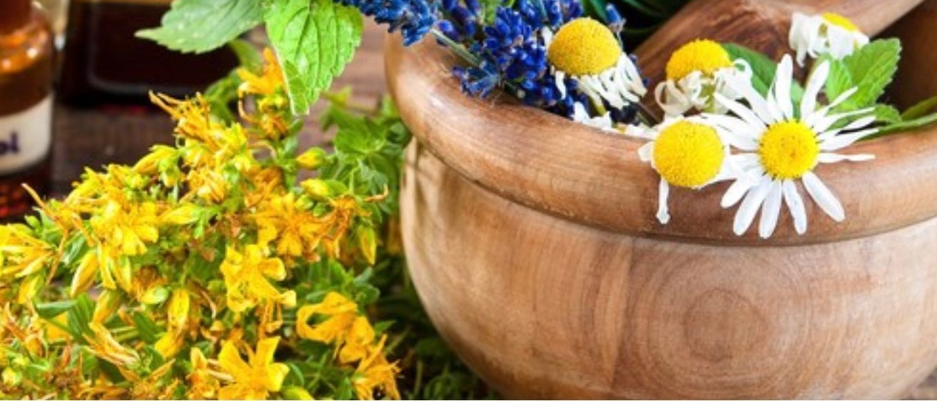 Bild enthält, Herbal, Herbs, Plant, Daisy, Flower