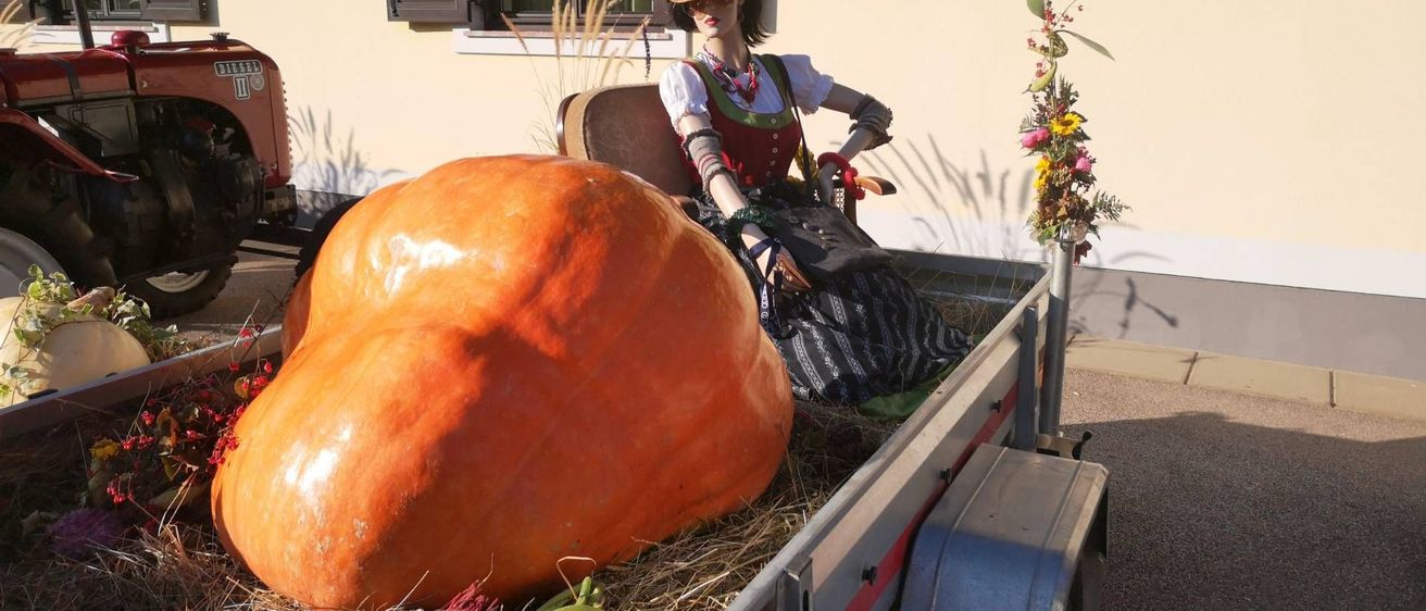 v1_migrated_image_24360995