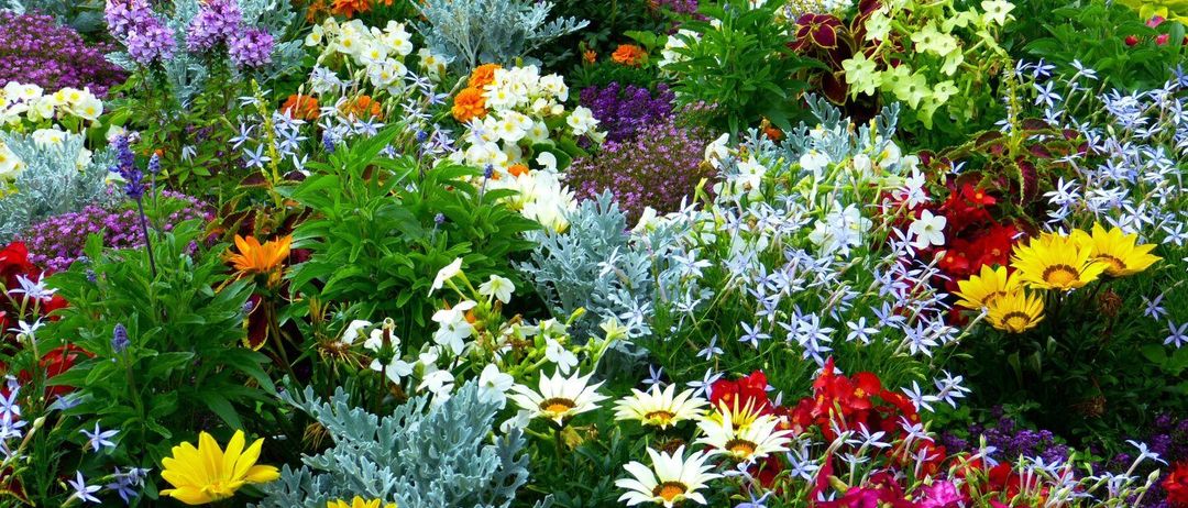 Ein farbenfroher Garten voller verschiedener Blumen, darunter Gänseblümchen, Rosen und Lilien, mit üppigem grünem Laub und einigen lila und gelben Blüten.
