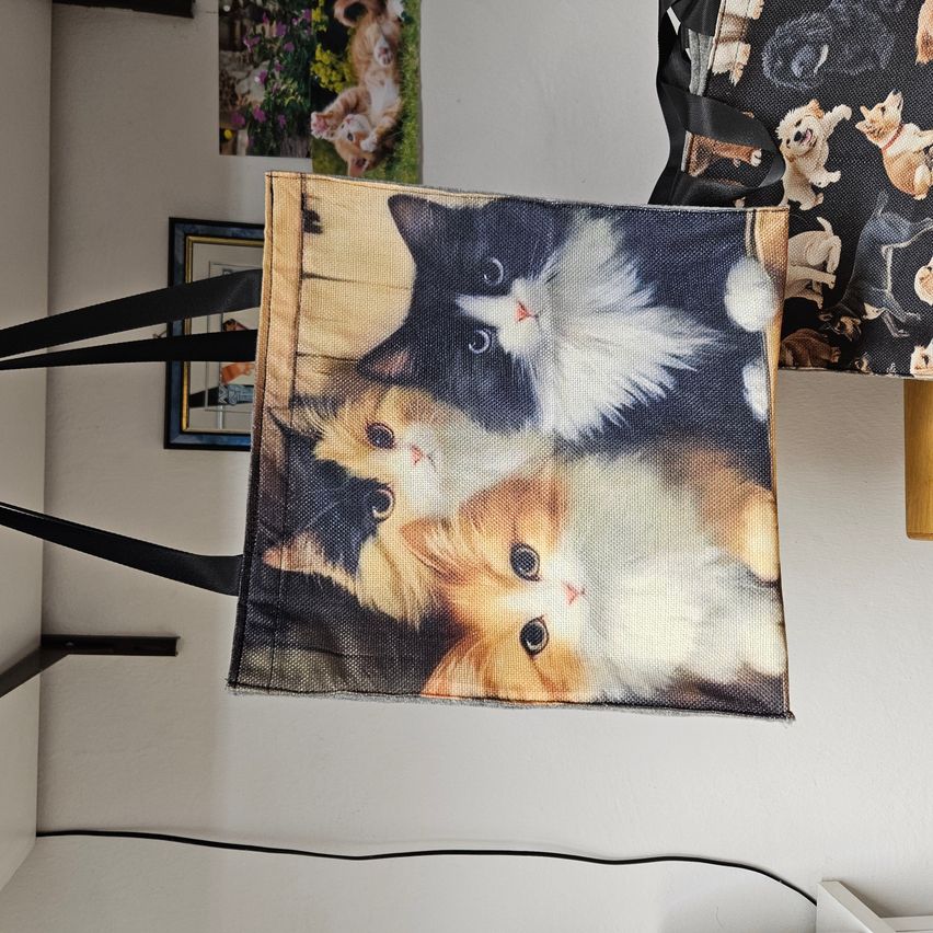 Eine Tragetasche mit einem gedruckten Bild von drei Kätzchen, zwei schwarz-weiß und einem orangefarbenen, an einer weißen Wand hängend.