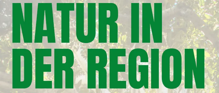 Ein Poster mit grünem Text 'NATUR IN DER REGION' vor einem verschwommenen Hintergrund aus Blättern und Ästen.