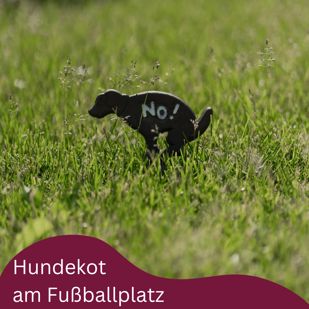 Eine Hundefigur auf dem Fußballfeld sagt 'Nein!'. Das Feld ist grün mit Gras. Ein lila Oval hat die Worte 'Hundekot am Fußballplatz'.