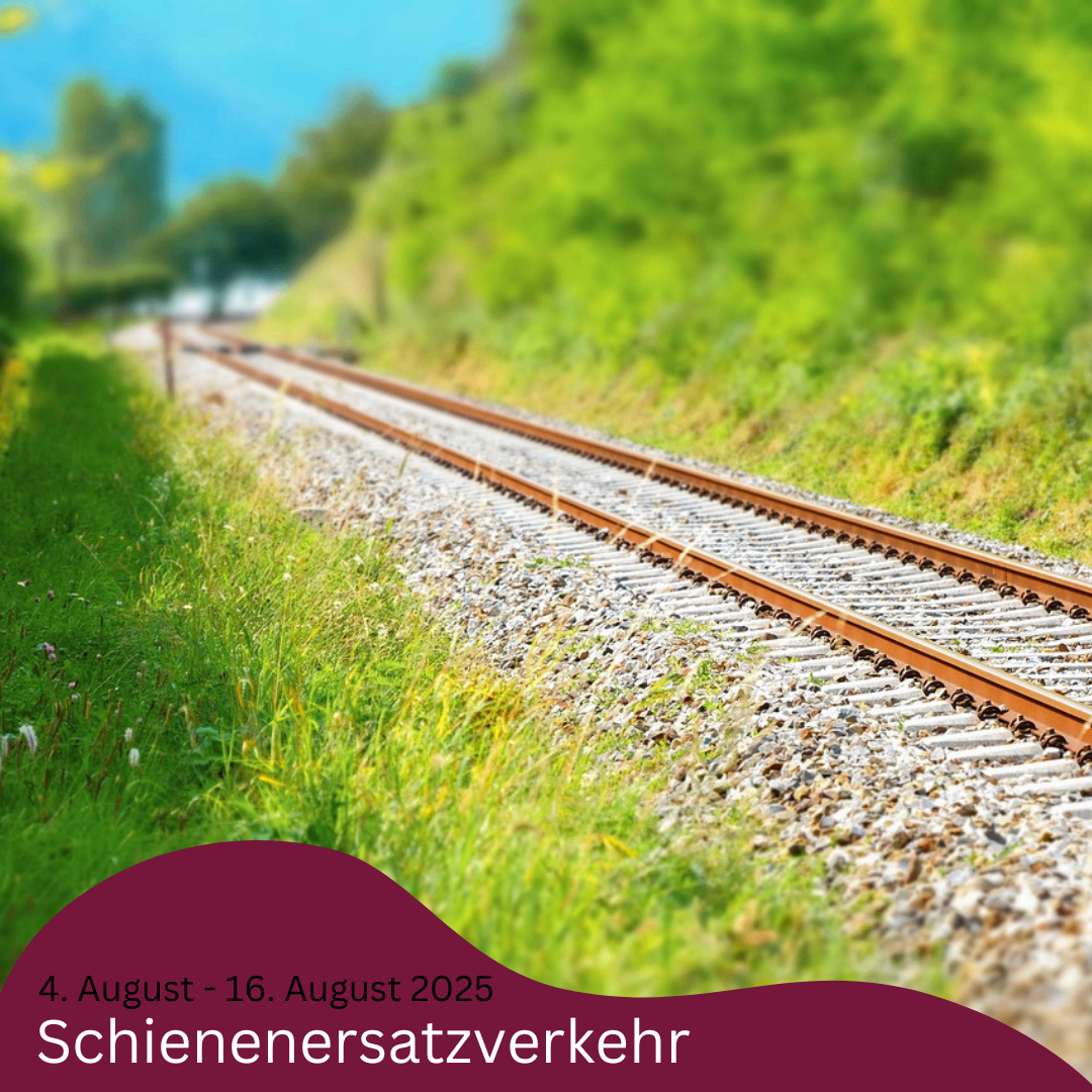 Ein Bild von Eisenbahnschienen in einem üppigen grünen Feld, datiert vom 4. August bis 16. August 2025, mit dem Text 'Schienenersatzverkehr' auf Deutsch.