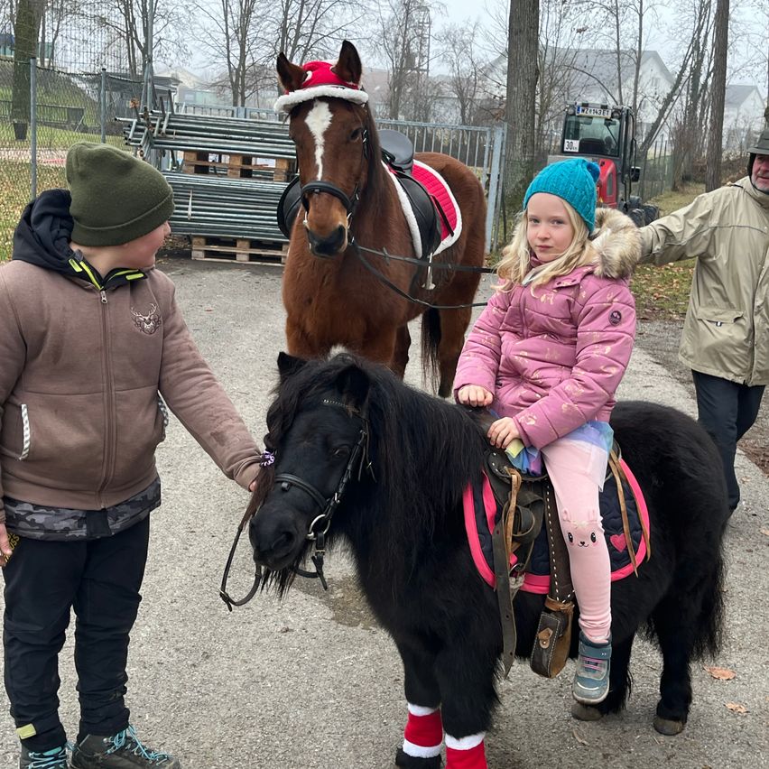 Drei Kinder sind draußen. Eines reitet ein kleines schwarzes Pony. Ein anderes trägt einen Weihnachtsmannhut und sitzt auf einem braunen Pferd. Das dritte Kind steht neben dem Pony.