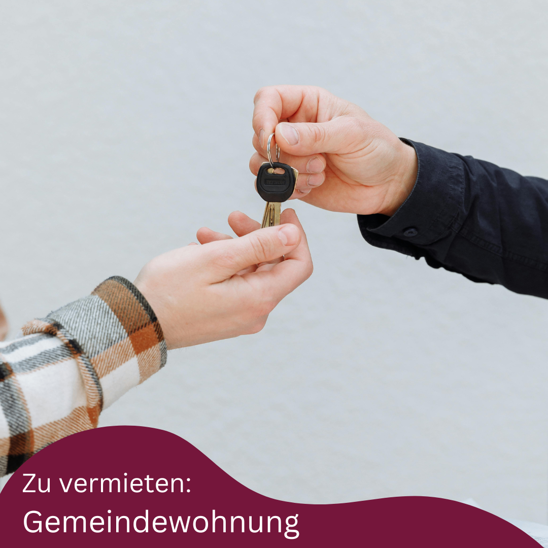 A person is handing over a key to another person. The person receiving the key is wearing a black long-sleeved shirt. Below the image is the text 'Zu vermieten: Gemeinschaftswohnung' in bold.