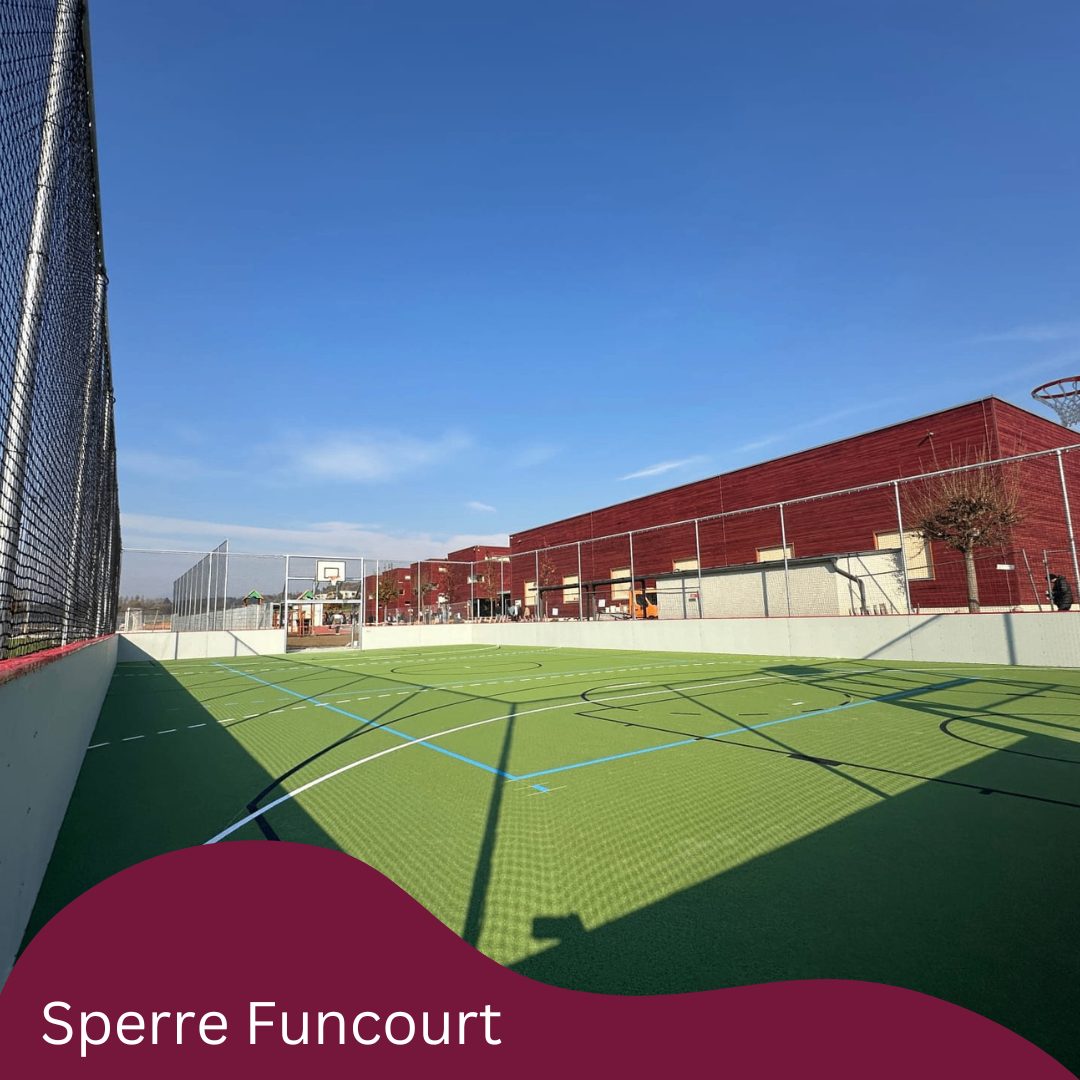Outdoor sports court with basketball hoop, fenced by a fence and net. Empty green field, red buildings in the background.