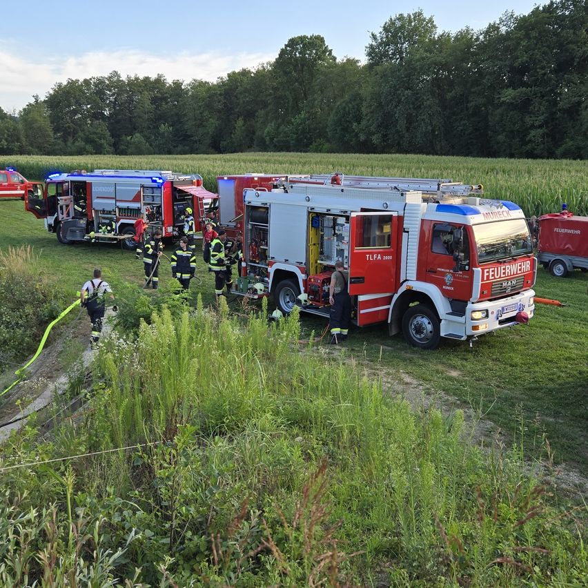 Mehrere Feuerwehrfahrzeuge stehen auf einem Grasfeld. Feuerwehrleute sind um die Fahrzeuge versammelt, einige tragen Helme und Schutzausrüstung.