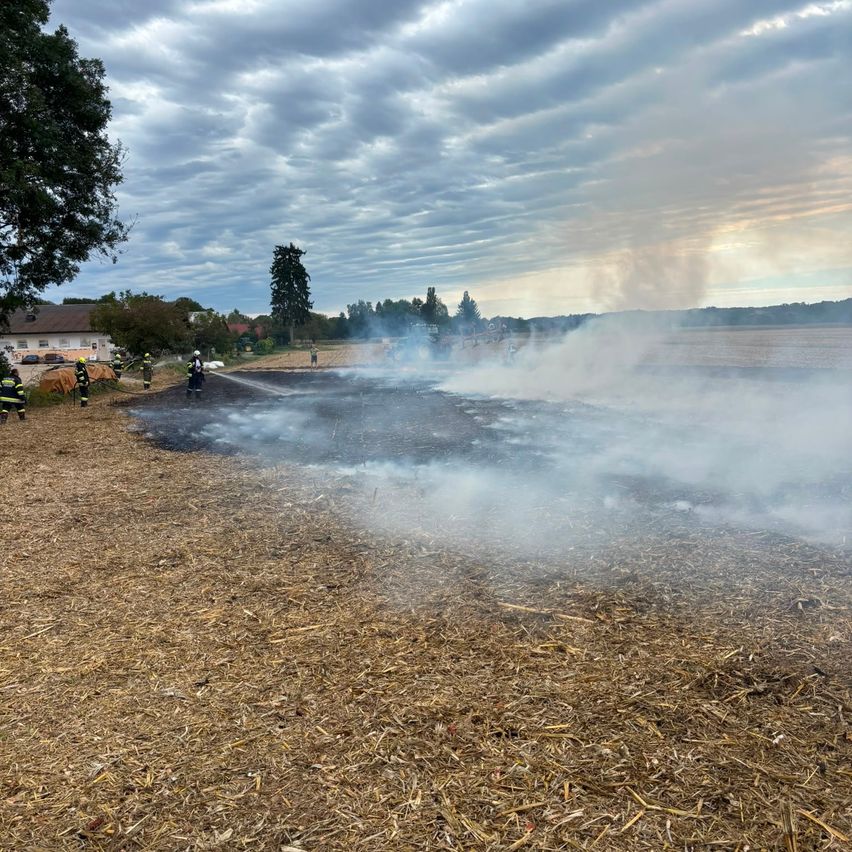 Firefighters are extinguishing a fire in a field with dry grass and smoke rising. Trees and a house are visible in the background.