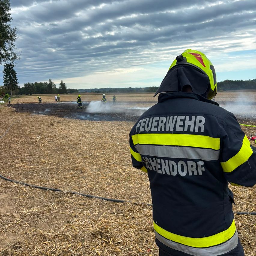 A firefighter in a yellow and black uniform stands in a field with a fire in the background.