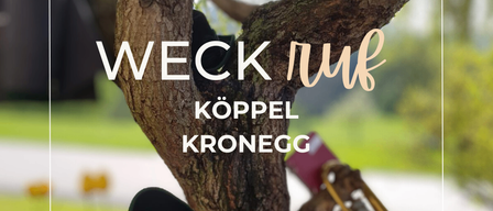 Ein Foto im Freien von einem Baum mit Gegenständen darauf. Das Bild zeigt eine Trompete, einen Hut und ein Schild mit dem Wort Weck.