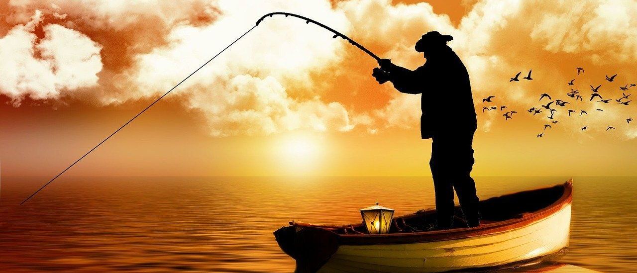 Bild enthält, Fishing, Outdoors, Water, Angler, Person, Adult, Male, Man, Canoe, Bird