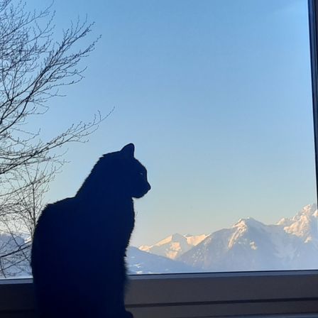 Eine schwarze Katze sitzt auf einer Fensterbank und blickt auf einen Blick auf verschneite Berge.