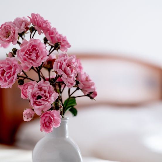 Bild enthält, Flower, Flower Arrangement, Flower Bouquet, Geranium, Rose, Petal, Ikebana, Carnation, Pottery, Honey Bee