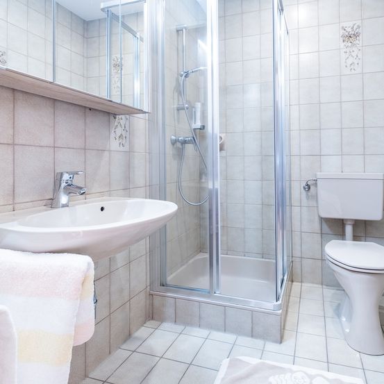 Bild enthält, Indoors, Sink, Sink Faucet, Bathroom, Room, Toilet, Shower