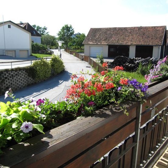 Bild enthält, Potted Plant, Planter, Pottery, Garden, Nature, Outdoors, Neighborhood, Flower, City, Geranium